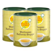 Tellofix Wellnes-Reform-Suppe 3 x 540 g (ergibt je 27 Liter)
